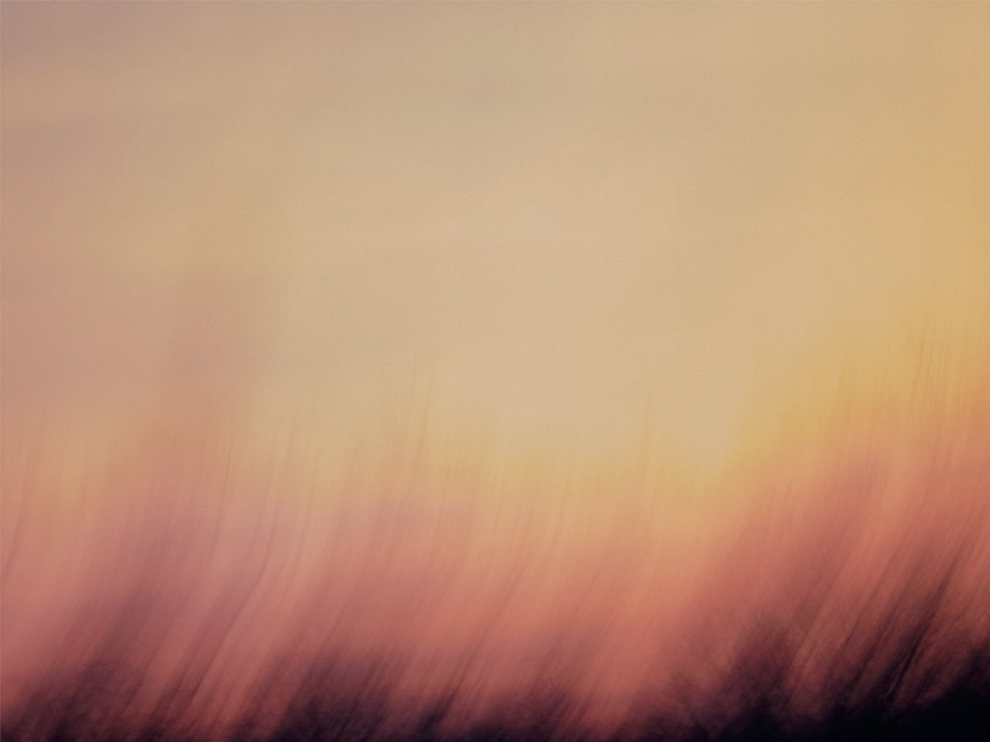 Decadent Sunrise