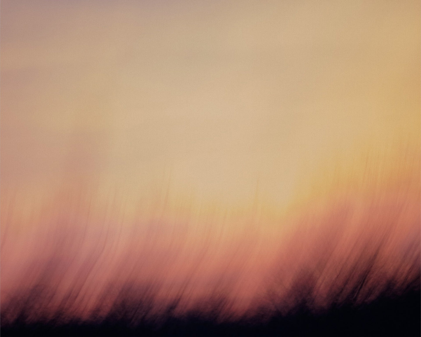 Decadent Sunrise