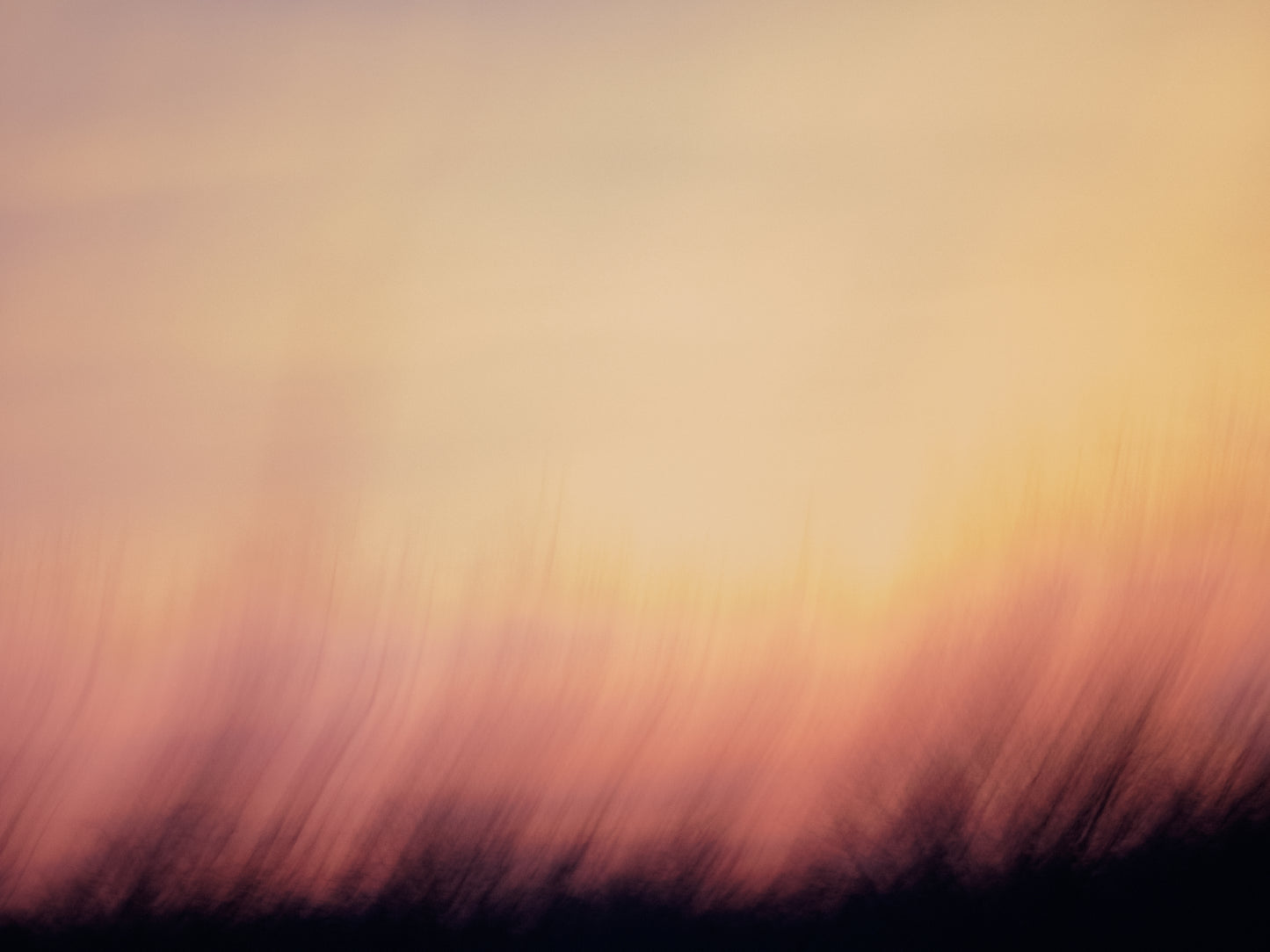 Decadent Sunrise