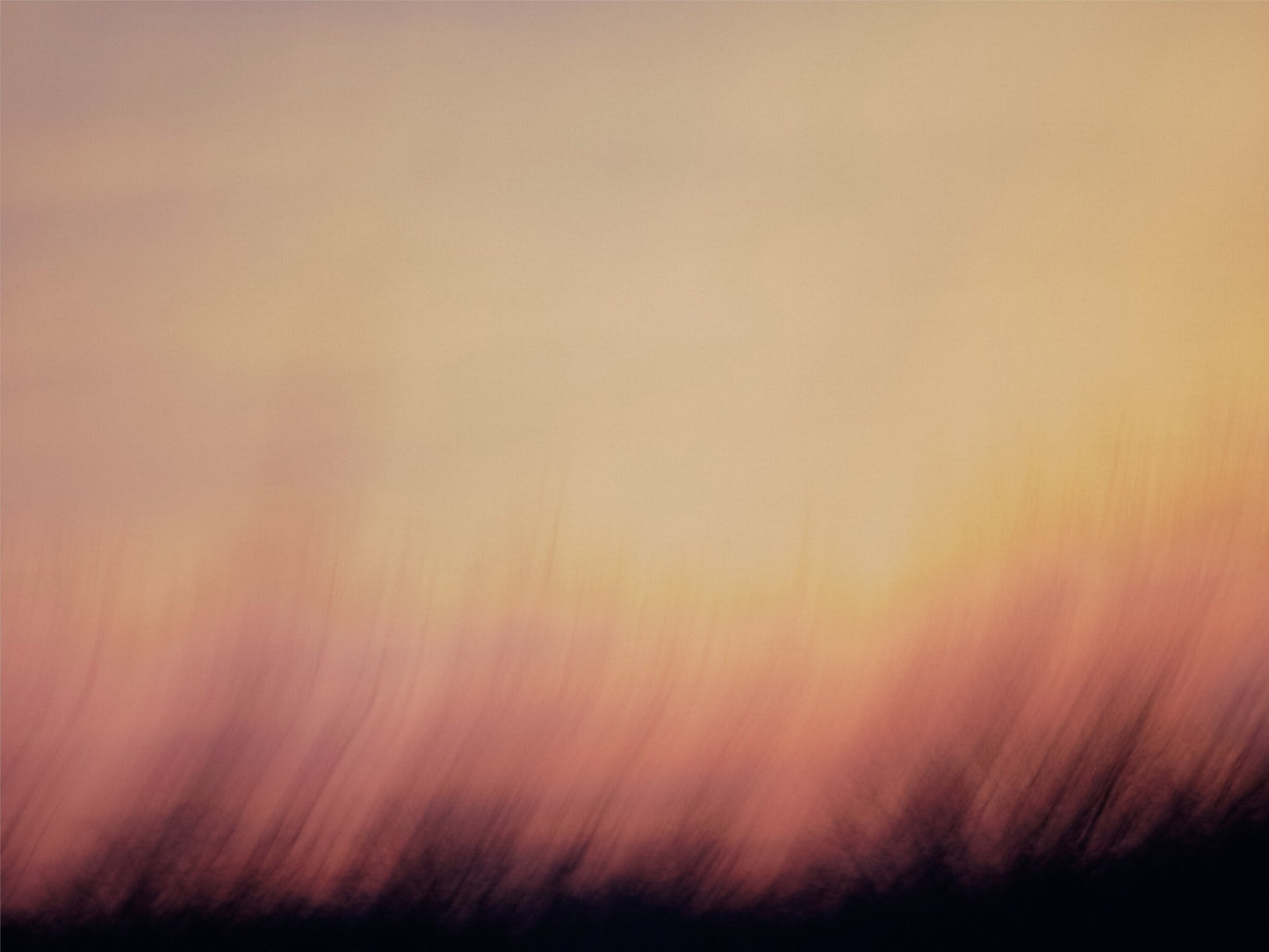 Decadent Sunrise