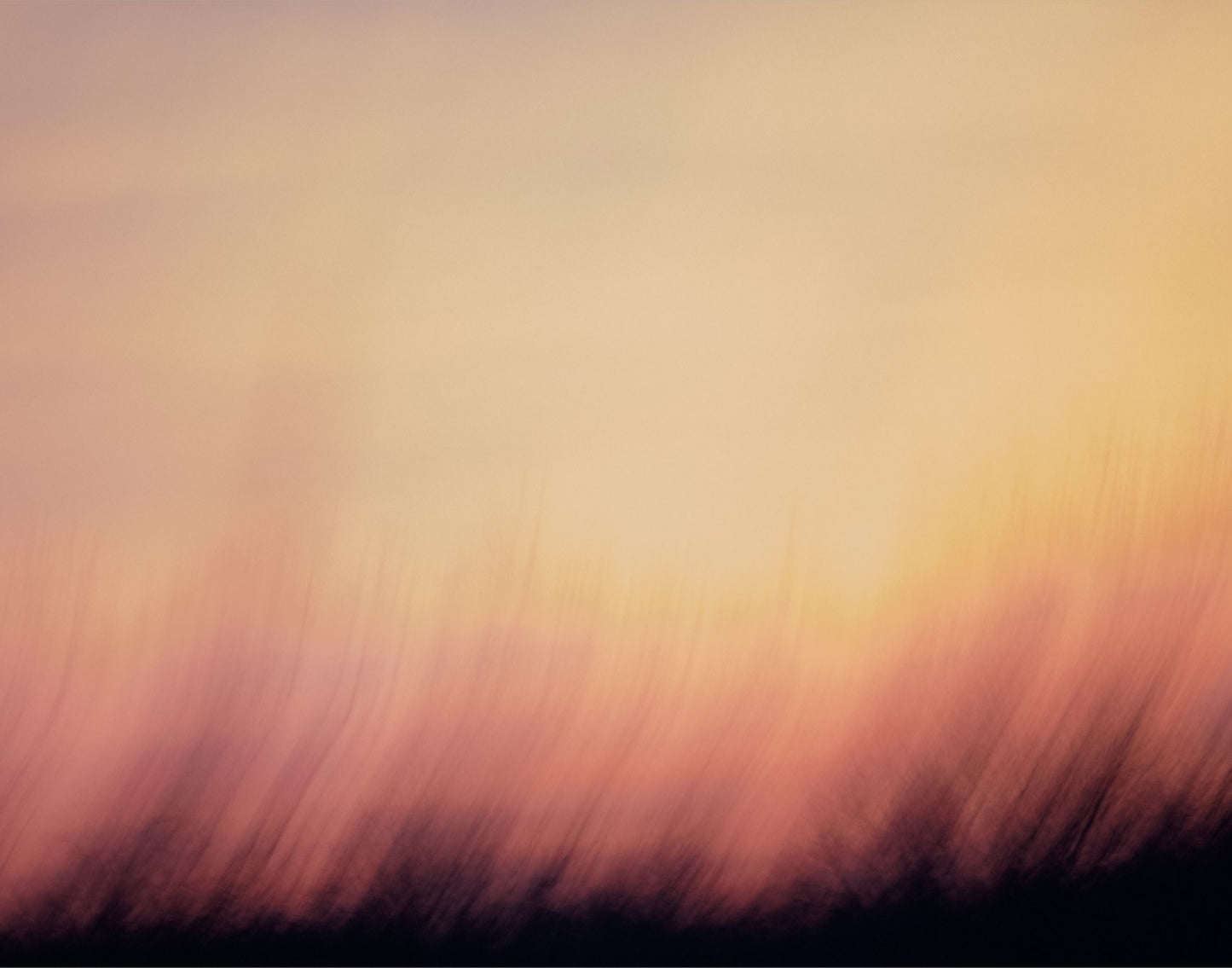 Decadent Sunrise