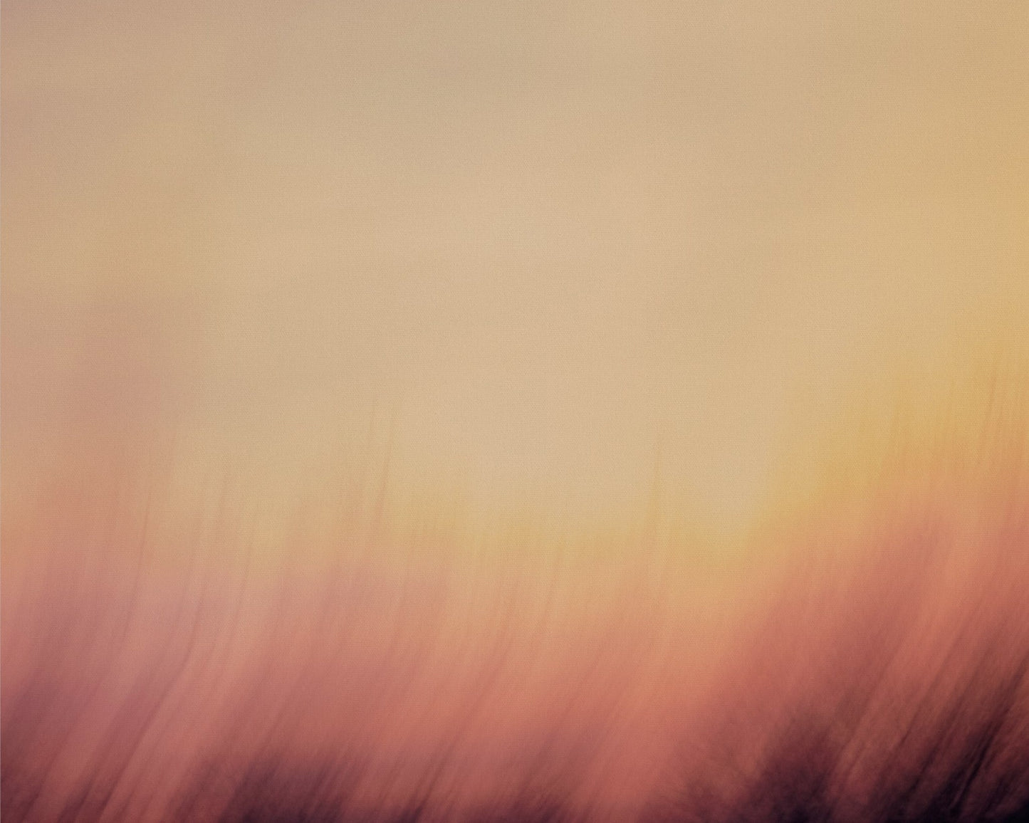 Decadent Sunrise
